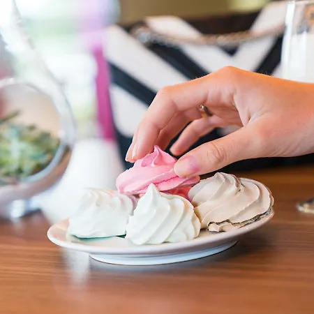 Hotel Ibis Styles Castres (Tarn)